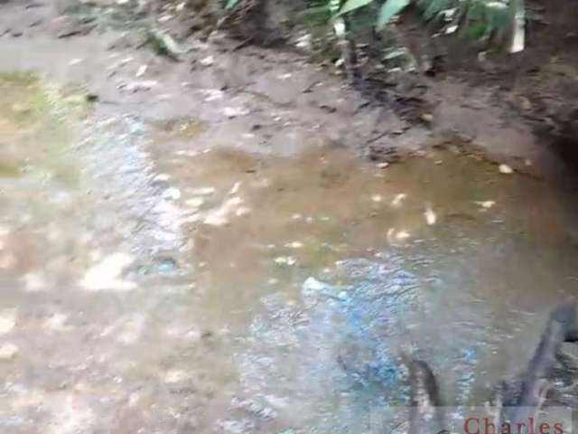 Chácara para Venda em Corumbá de Goiás, Zona  Rural, 2 dormitórios, 1 banheiro, 1 vaga