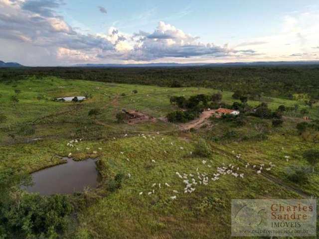 Fazenda para Venda em Paranã, Zona Rural, 4 dormitórios, 1 suíte, 2 banheiros, 2 vagas