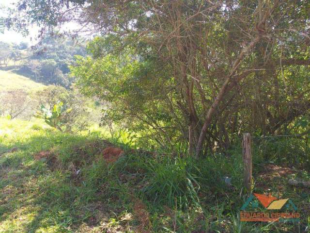 Terreno à venda, 780 m² por R$ 100.000,00 - Zona Rural - Paraibuna/SP