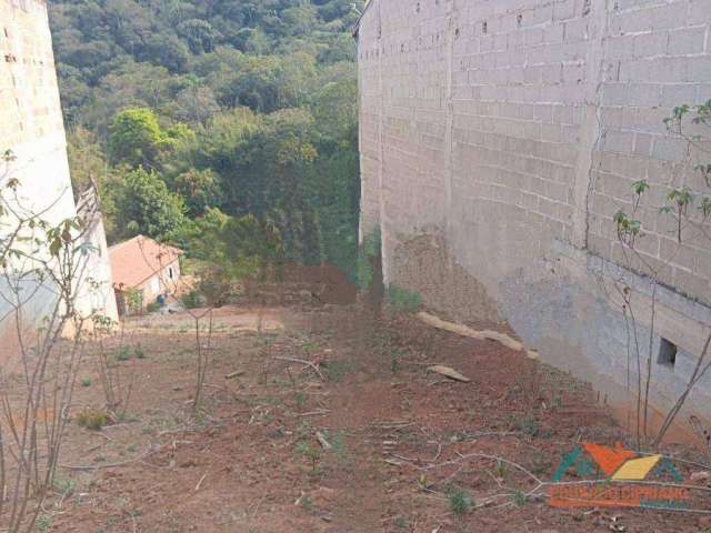 Terreno à venda, 348 m² por R$ 110.000 - Zona Rural - Paraibuna/SP