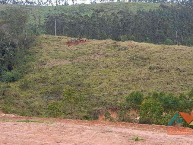 Terreno à venda, 51124 m² por R$ 360.000 - Bairro das Laranjeiras - Paraibuna/SP