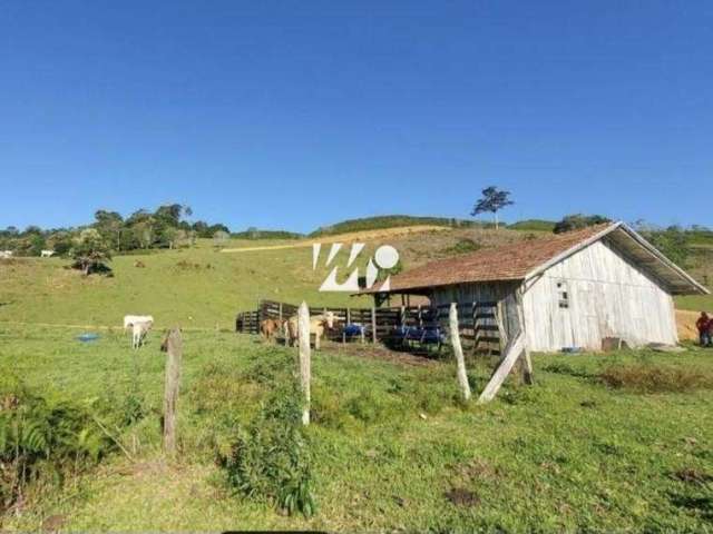 Chácara / sítio com 3 quartos à venda no Centro, Leoberto Leal , 92000 m2 por R$ 4.800.000