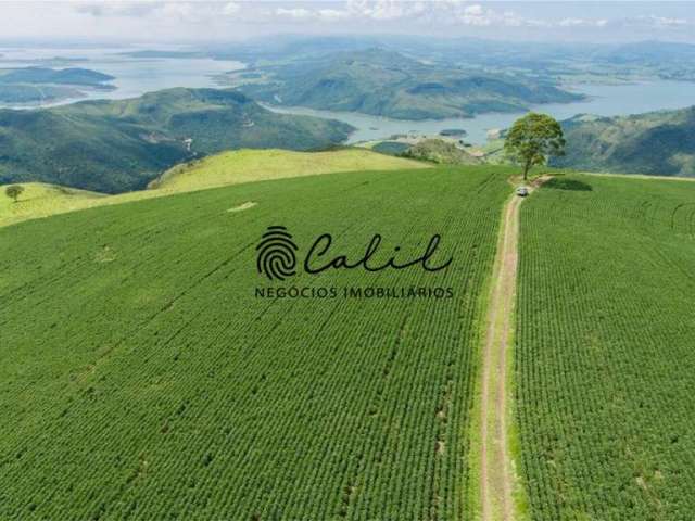 Fazenda para Agricultura e Pecuária com 1238 hectares à venda por R$ 42.000.000,00 - Pimenta/MG