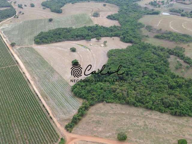 Sítio produtivo com  23,67 hectares à venda por R$ 3.500.000,00 em Santo Antônio da Alegria/SP