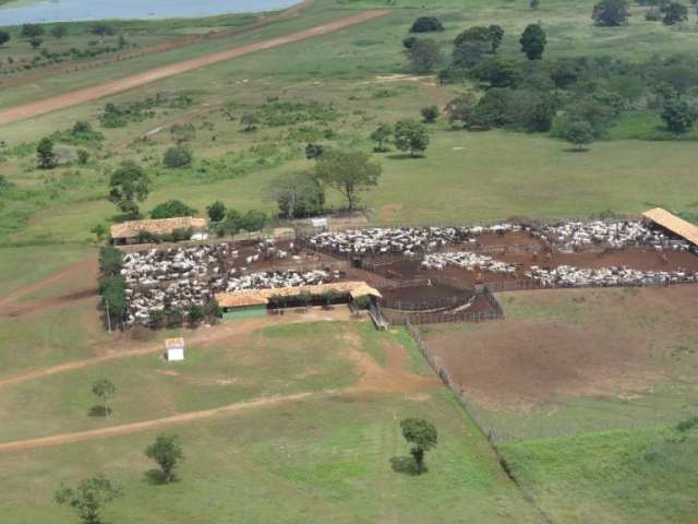 Excepcional Fazenda no Piauí