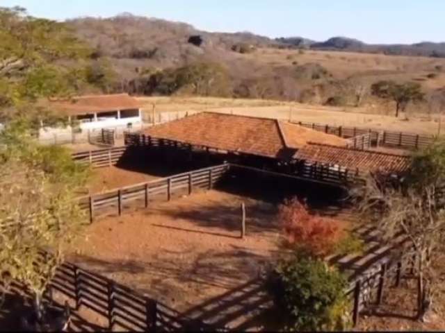 Magnífica Fazenda em Matozinhos