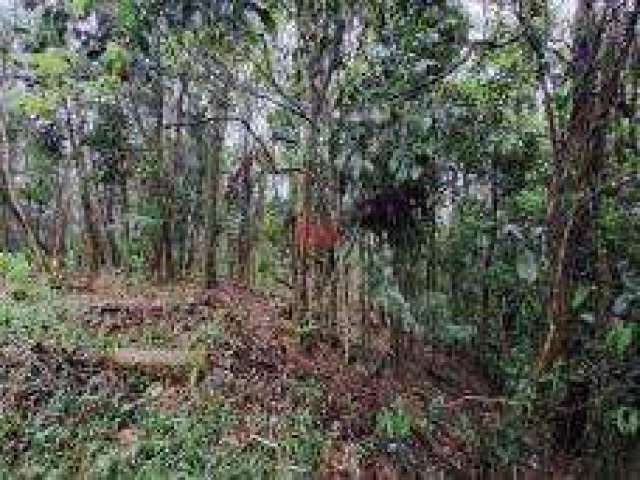 Terreno para Venda em São Bernardo do Campo, Varginha