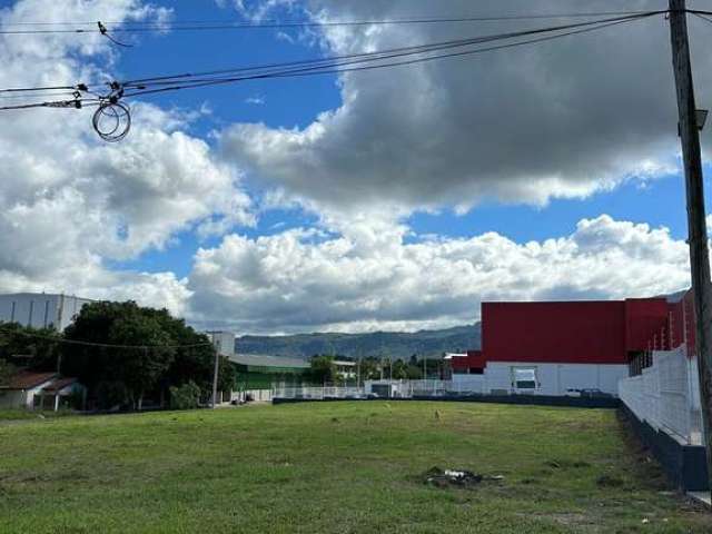 Terreno em frente a RS 239-Sapiranga.