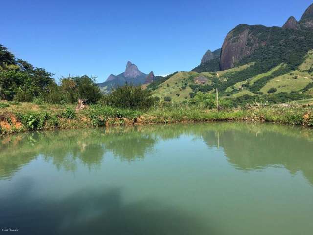 Sítio para Venda em Macaé, Trapiche, 3 dormitórios, 3 suítes, 5 banheiros