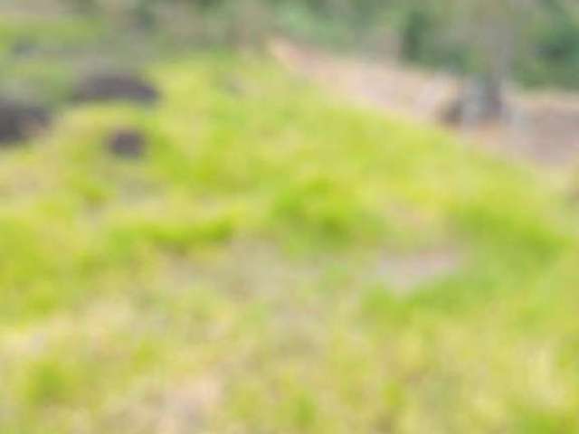 Lindo sítio com 2 alqueires à venda em Serra da Cruz