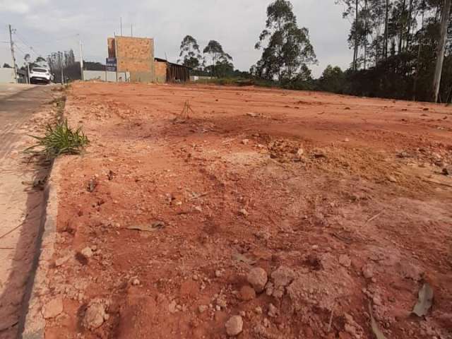 Lotes a venda no Centro da Guabiruba