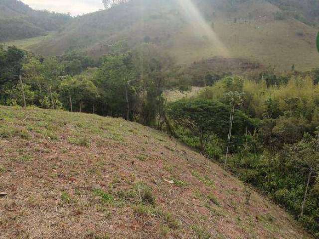 Sítio à venda, 30000 m² por R$ 800.000 - Cachoeira - Juiz de Fora/MG