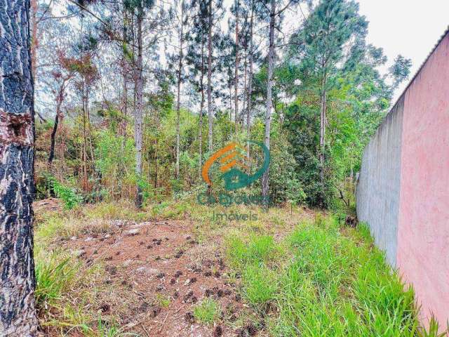 Terreno à venda, 330 m² por R$ 150.000,00 - Corumbá - Mairiporã/SP