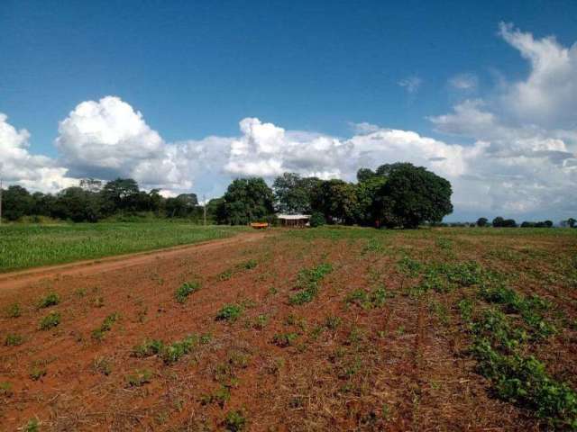 Chácara de 9 hectares. 38 km de Campo Grande.