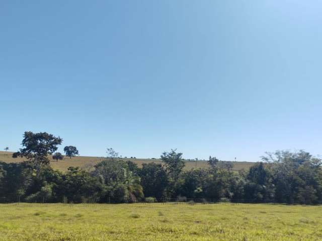 36 Hectares. 28 k. De Campo Grande.