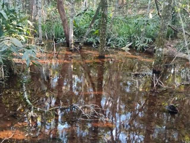 Chacara de 27.8 Hectares.  35 km de CG.