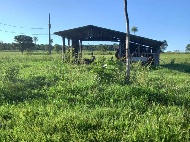 Fazenda de 100 hectares.  Banhada pelo Rio São João, aceita PERMUTA.