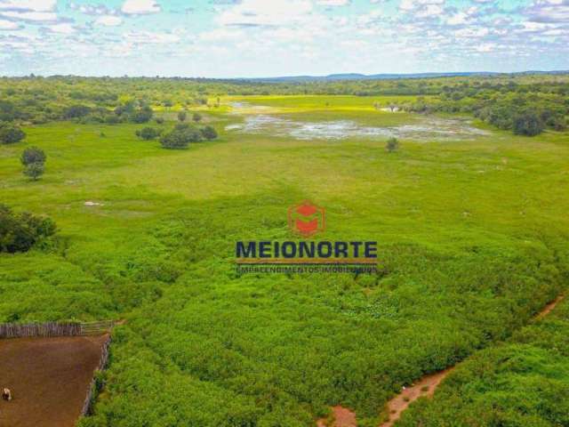 Fazenda com 1 dormitório à venda, 99000000 m² por R$ 24.750.000,00 - Centro - Morro Cabeça no Tempo/PI