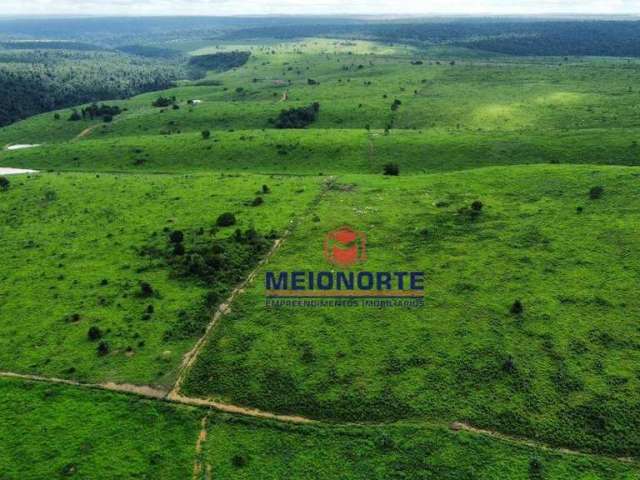 Fazenda com 4 dormitórios à venda, 4800000 m² por R$ 14.950.000,00 - Terra Bela - Buriticupu/MA