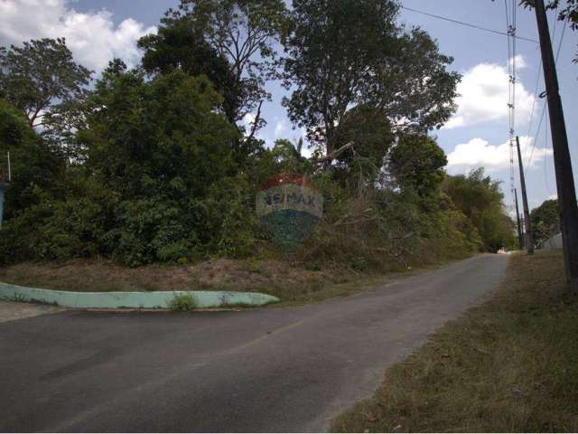 Terreno de 4500m² em Tarumã Açu com Ótimo Preço