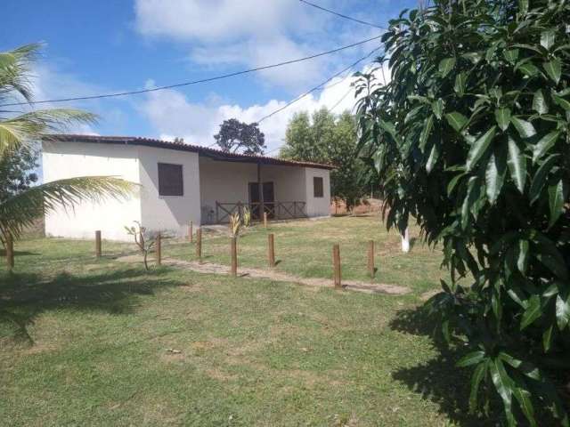 Chácara /Sítio/ Fazenda - Venda - Camaçari, Bahia - Ótima Oportunidade!