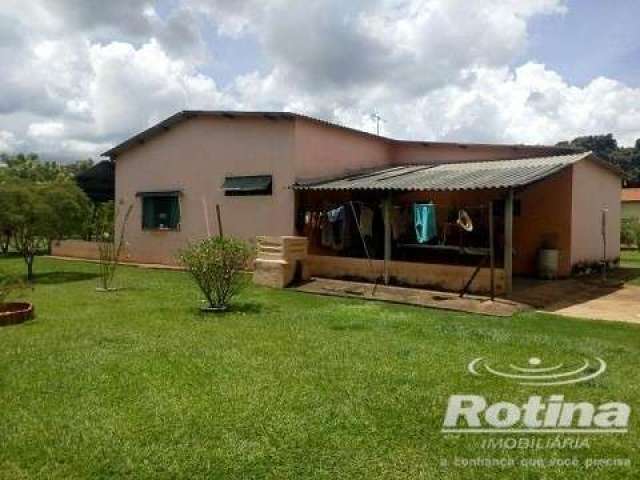 Chacara à venda, 4 quartos, Jockey Camping - Uberlândia/MG - Rotina Imobiliária