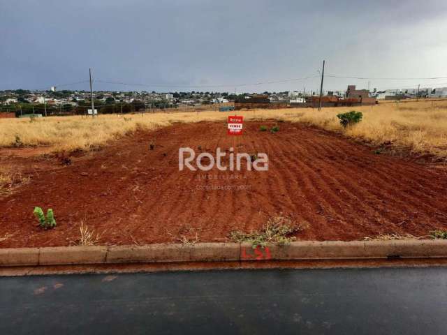 Terreno à venda, Aclimação - Uberlândia/MG - Rotina Imobiliária