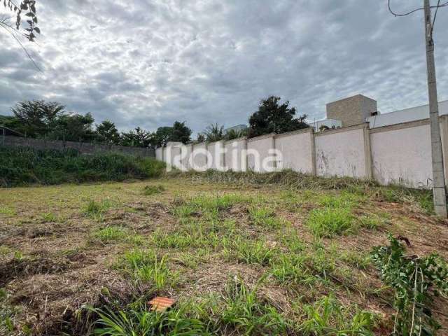 Terreno à venda, Morada da Colina - Uberlândia/MG - Rotina Imobiliária