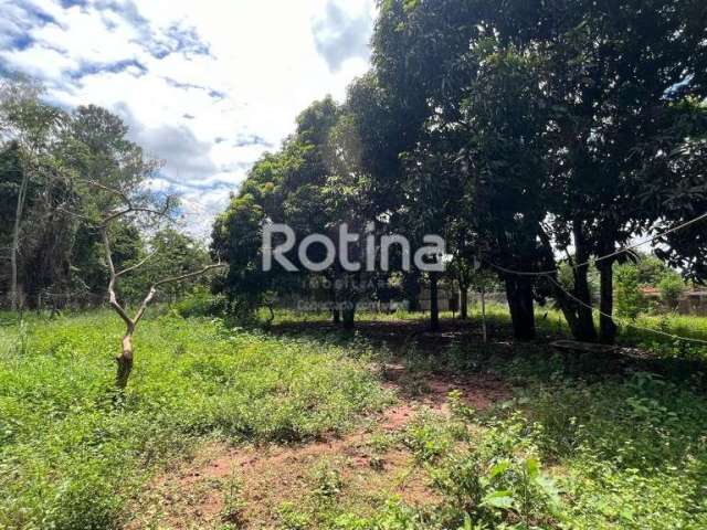 Chacara à venda, Zona Rural - Uberlândia/MG - Rotina Imobiliária