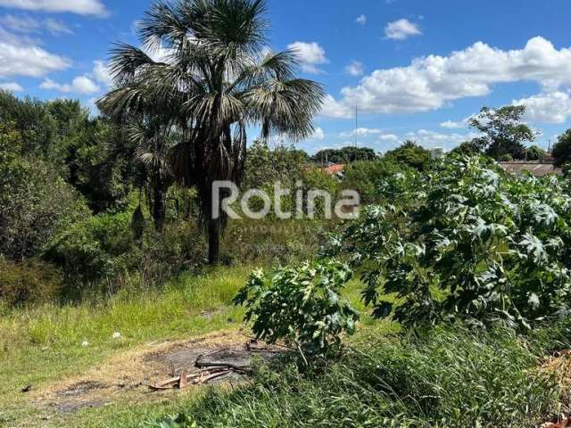 Terreno à venda, Nossa Senhora das Graças - Uberlândia/MG - Rotina Imobiliária