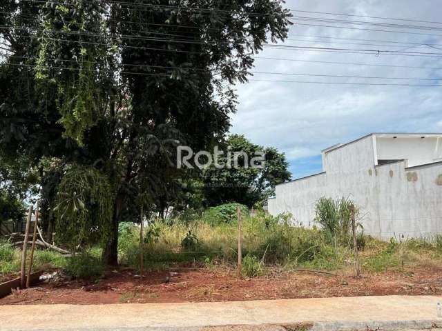 Terreno à venda, Cidade Jardim - Uberlândia/MG - Rotina Imobiliária