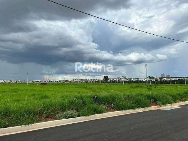 Terreno à venda, Jardim Sul - Uberlândia/MG - Rotina Imobiliária