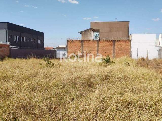 Terreno à venda, New Golden Ville - Uberlândia/MG - Rotina Imobiliária