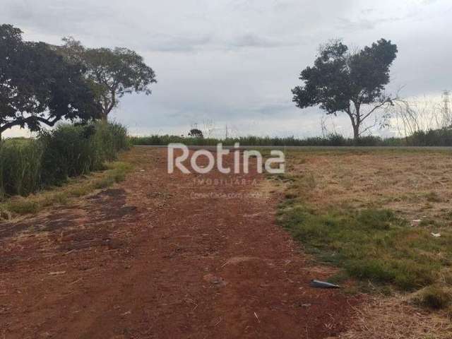 Área à venda, Zona Rural - Uberlândia/MG - Rotina Imobiliária