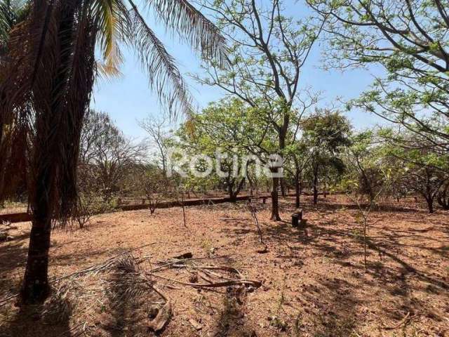 Terreno à venda, Chacaras Tubalina e Quartel - Uberlândia/MG - Rotina Imobiliária