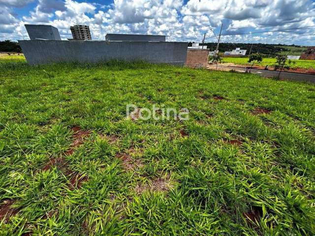 Terreno à venda, Loteamento Portal do Vale II - Uberlândia/MG - Rotina Imobiliária