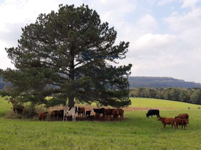 Fazenda à venda na Rodovia do Xisto, 476, Passa Dois, Lapa, 412750 m2 por R$ 7.200.000