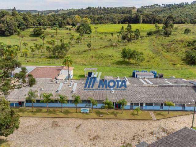 Pavilhão à venda, 2528 m² por R$ 9.200.000,00 - Mandassaia - Campina Grande do Sul/PR