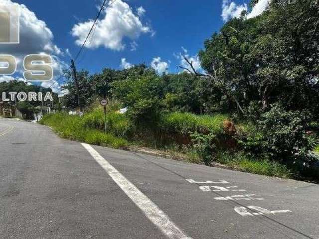 Terreno no Jardim Paulista, boa topografia e preço abaixo do m2 da região.