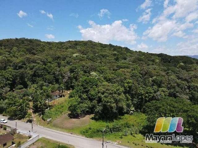 Área à venda, 25.000 m² por R$ 1.800.000 - Água Branca - São Francisco do Sul/SC