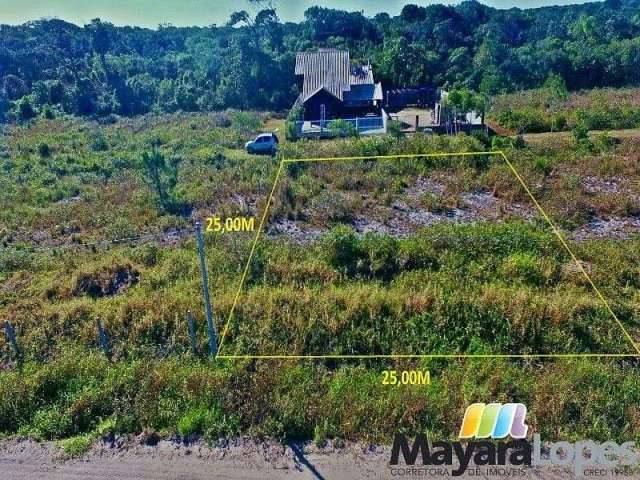 Terreno à venda, 625 m² por R$ 220.000,00 - Praia do Ervino - São Francisco do Sul/SC