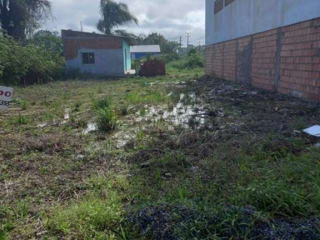 Terreno à Venda, ubatuba, são Francisco do sul, Santa catarina