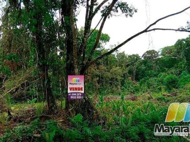 Terreno à venda, 9.000m² por R$ 300.000 - Acaraí - São Francisco do Sul/SC