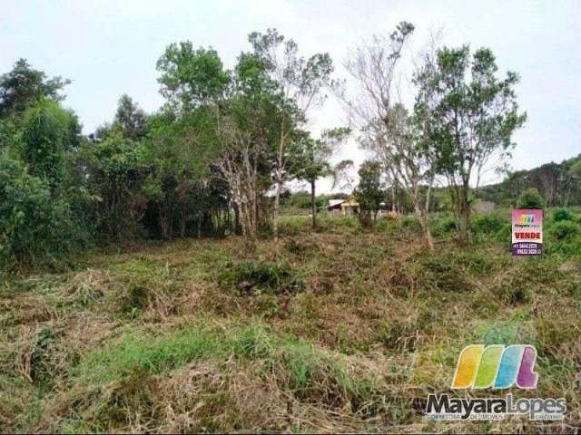 Terreno à venda, 360 m²  Praia do Ervino - São Francisco do Sul/SC