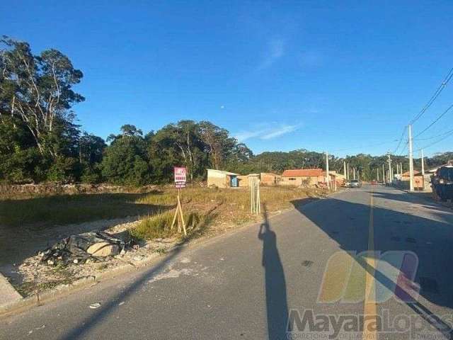 Terreno à venda, 250 m² por R$ 150.000,00 - Praia de Ubatuba - São Francisco do Sul/SC