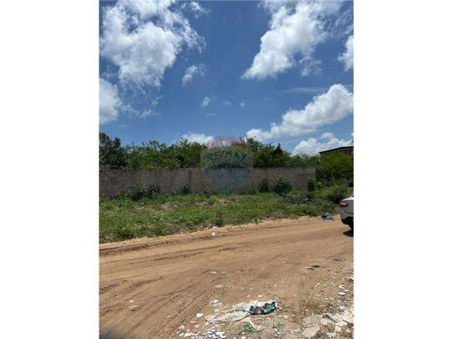 Terreno no Parque das Árvores: Preço Imperdível!