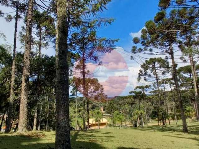 'Explore o Paraíso Verde: Refúgio na Área do Avenquinha, Campo Alegre, SC! 