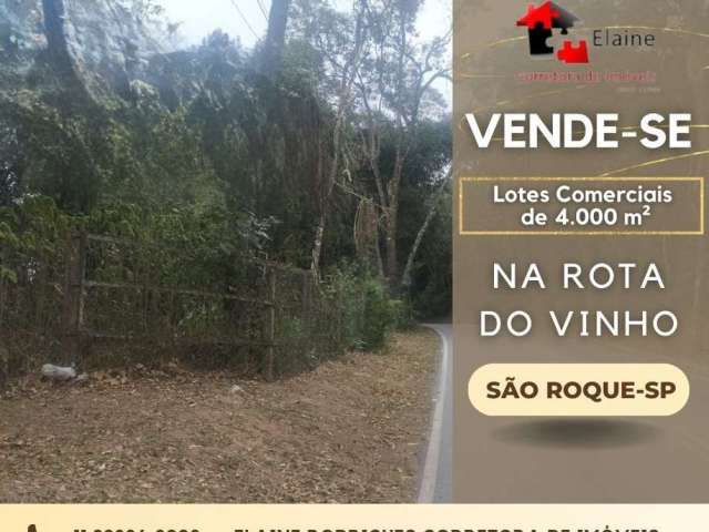 Oportunidade lotes comerciais na Rota do Vinho