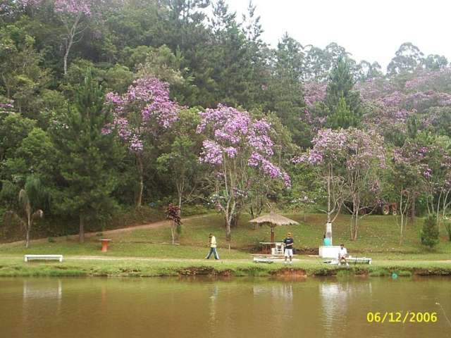 Pesqueiro para Venda em Itapecerica da Serra, Potuverá