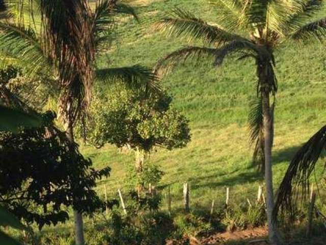 Fazenda no Sul da Bahia!!